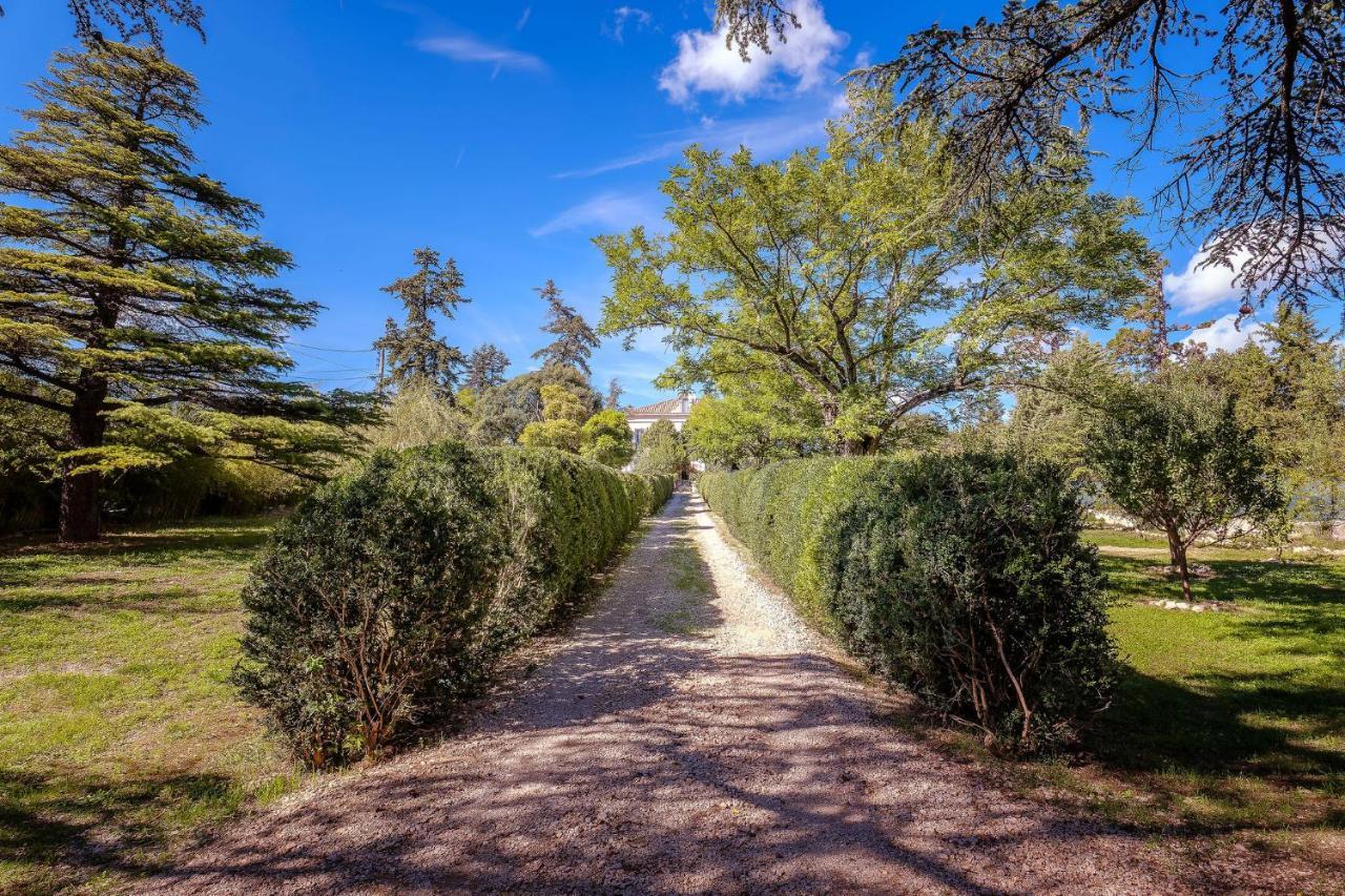 B&B En Provence- Villa Saint Marc Forcalquier Exteriér fotografie